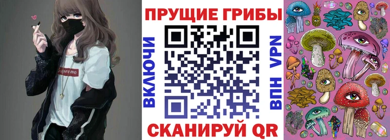 Псилоцибиновые грибы GOLDEN TEACHER  Ливны 