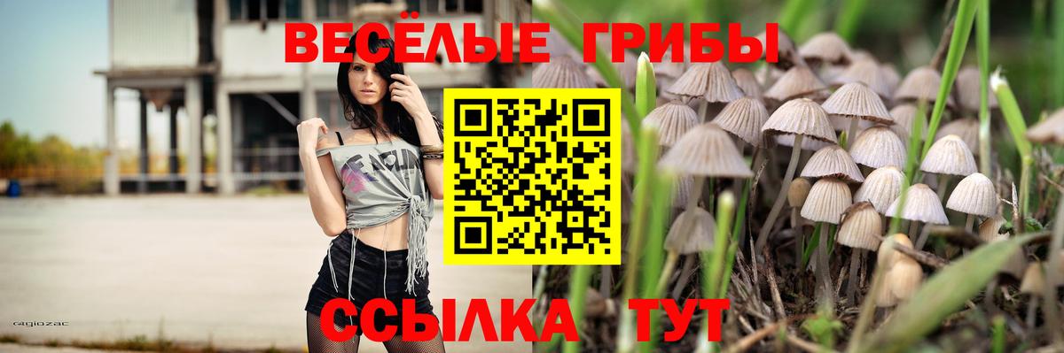 Галлюциногенные грибы Magic Shrooms  Вход с VPN  Ливны 